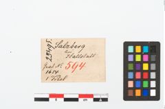 Etikett zu Bronzekahnfibel (NHMW-PRAE-025495)